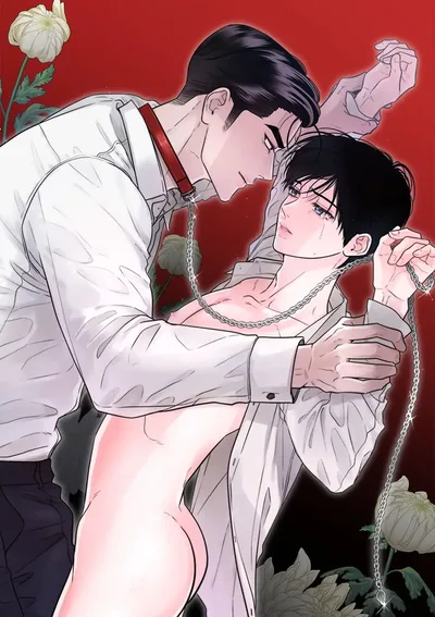 พันธะแห่งแสง