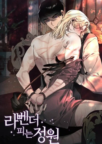 ยามลาเวนเดอร์ผลิบาน - Lavender Blooming Garden