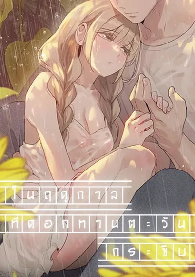 In The Season When Sunflowers Whisper - ในฤดูกาลที่ดอกทานตะวันกระซิบ