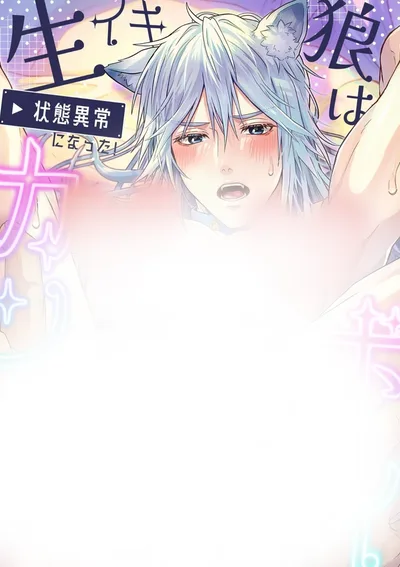 โทวะหมาป่าแห่งความงี่ 3