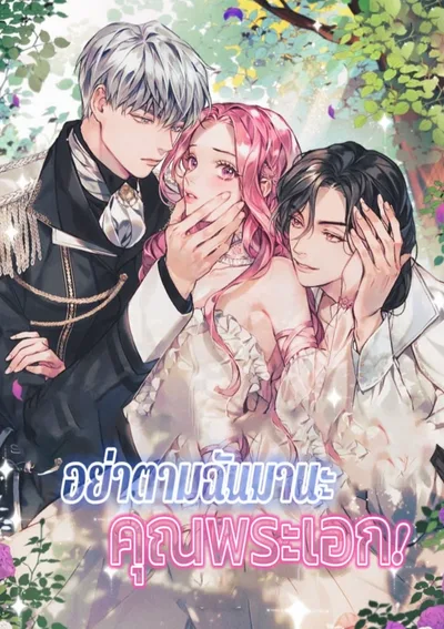 อย่าตามฉันมานะ คุณพระเอก!