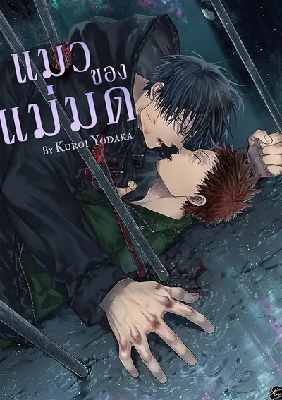  แมวของแม่มด