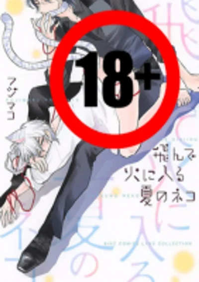 Tonde Hi ni Iru Natsu no Neko