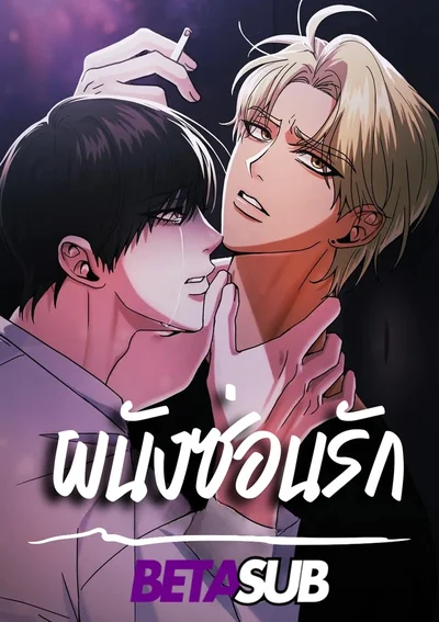 ผนังซ่อนรัก