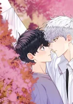 สิ้นฤดูหนาวถึงคราวใบไม้ผลิ - Cherry Blossoms After Winter Cafe Merch