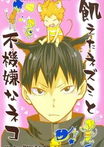 คาเงยามะ โทบิโอะ X ฮินาตะ โชโย Haikyuu!! dj 