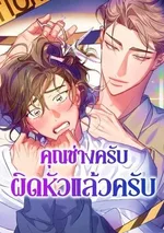 คุณช่างครับ ผิดหัวแล้วครับ - You've got the wrong head